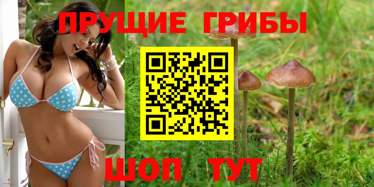 Галлюциногенные грибы прущие грибы  Вход с VPN  Псилоцибиновые грибы MAGIC MUSHROOMS  Гусиноозёрск 