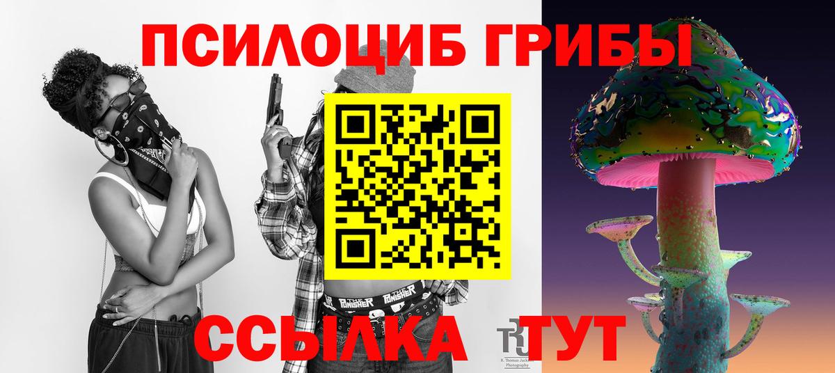 Псилоцибиновые грибы прущие грибы Гусиноозёрск