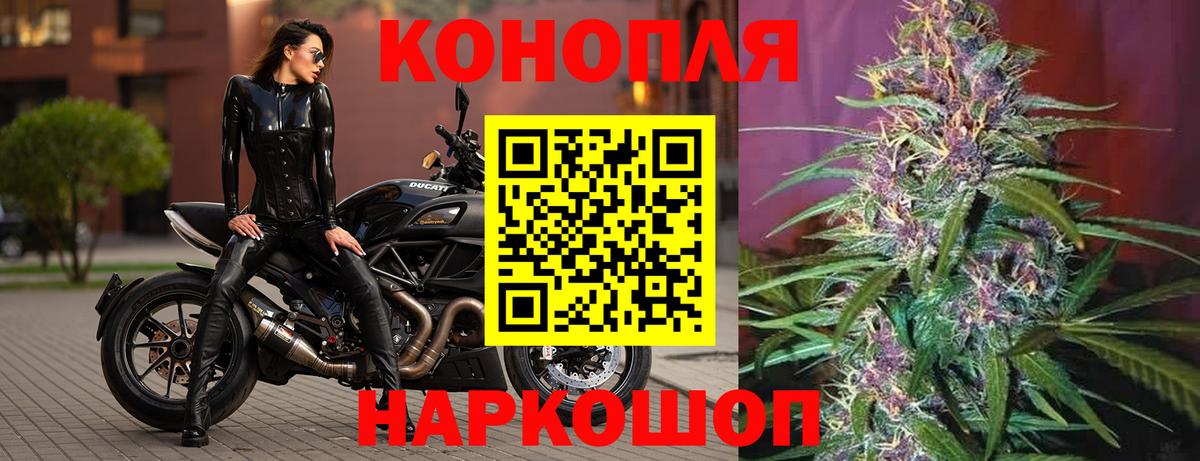 Бошки марихуана сатива Гусиноозёрск